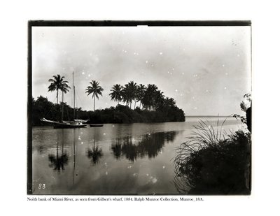 North bank of the Miami River, as seen from Ghilberts Wharf, 1884 by American Photographer